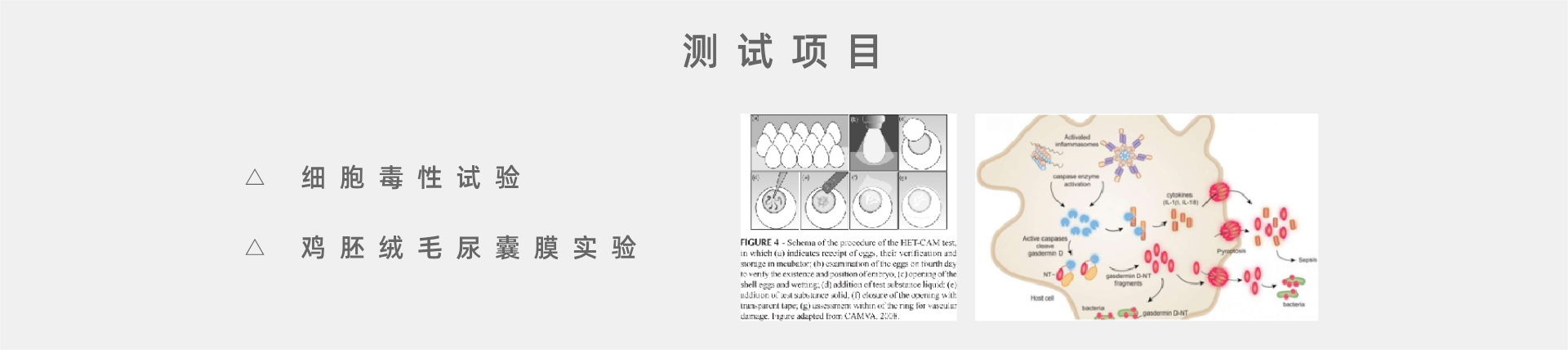 副本_5.14美化.png1.4.png